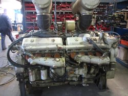 1567-3379-001.jpg