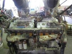 1573-3384-003.jpg