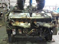 2356-foto-3385-1.jpg