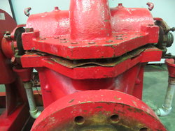 37845-11983-8.jpg