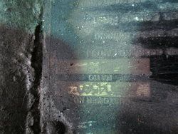 40539-type-plate-12237-2.jpg