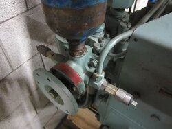 17046-3113-4.jpg