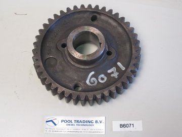 TWIN DISC MG-509 (GEAR, HELICAL, DRIVING/B6071)