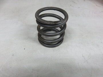 TWIN DISC MG-507-1 (SPRING, RETURN PISTON/P5146)